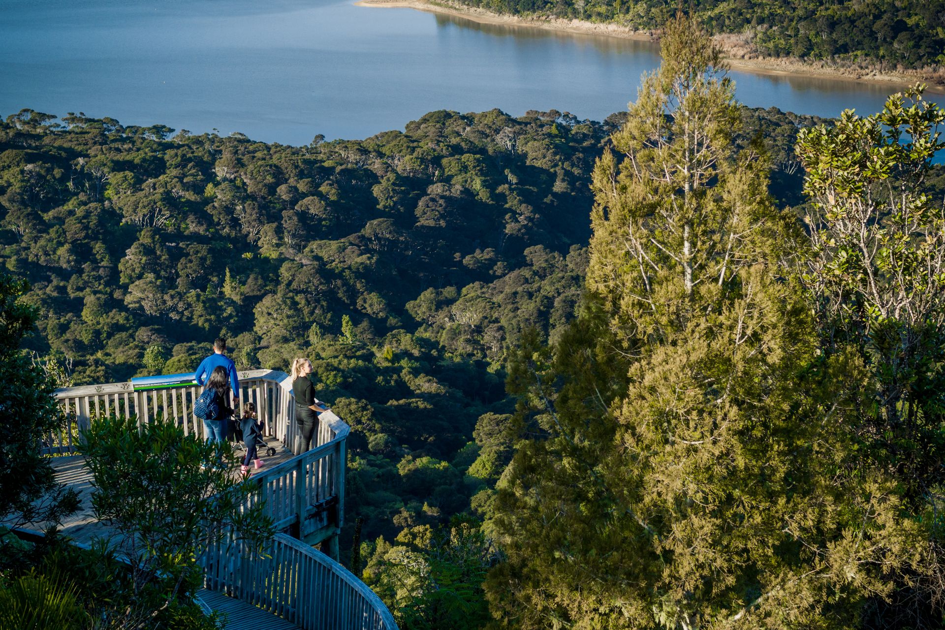 Viewing platform at Arataki Visitor Centre