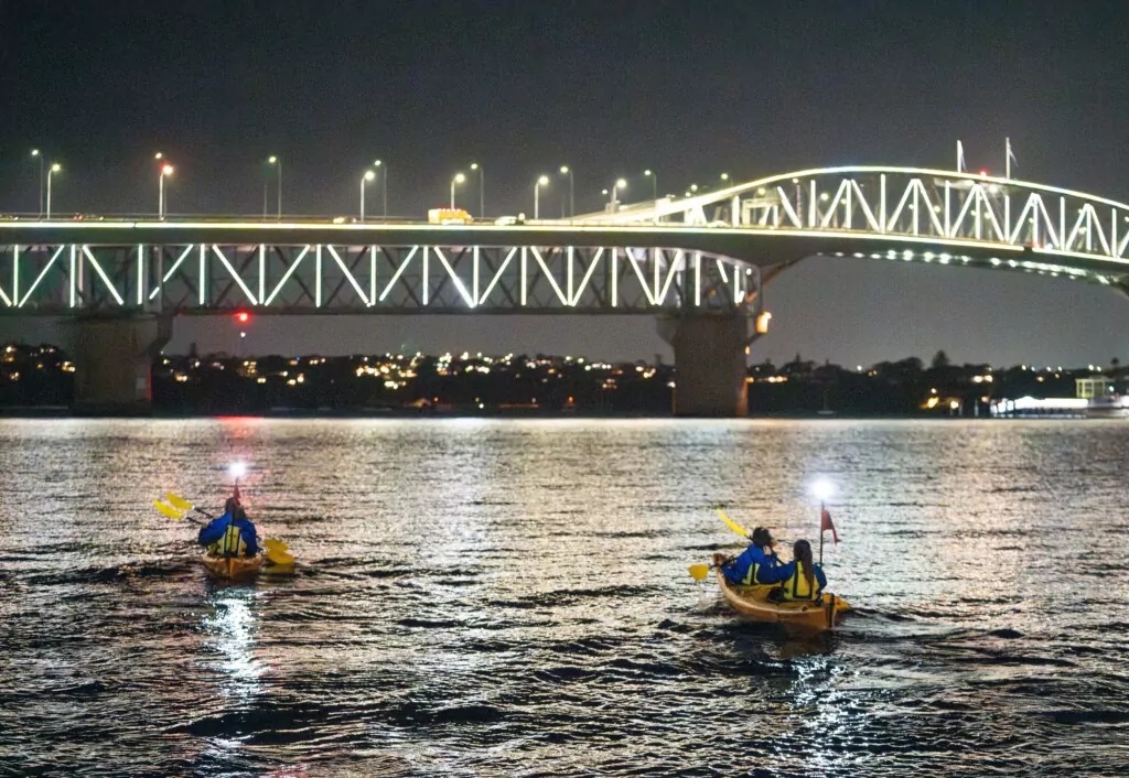 City Lights Night Kayak Tour