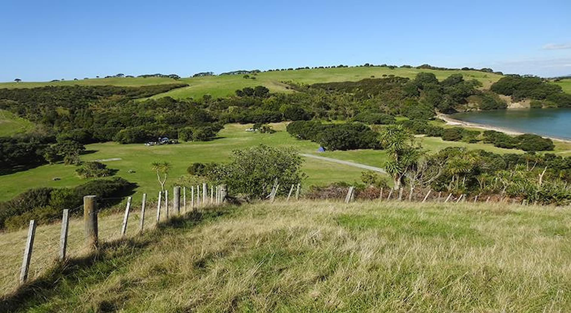 Te Haruhi Bay Campground at Shakespear Regional Park