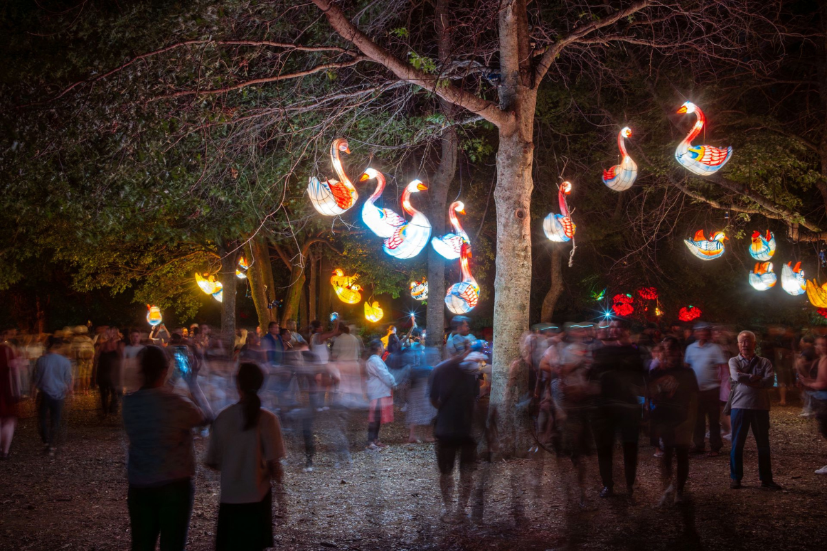 The BNZ Auckland Lantern Festival is one of the highlights of the Auckland events calendar every year, attracting visitors from across the world.
