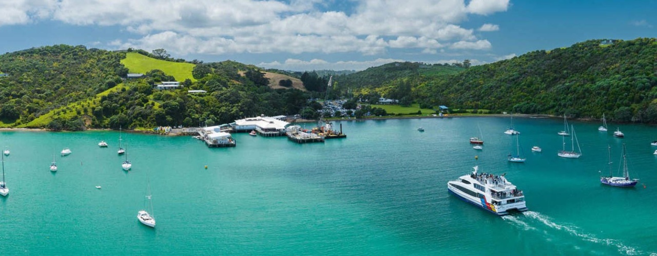 Aerial view of boats and coastline in Auckland